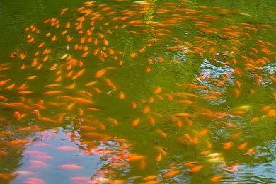 《梦魇卡丁车》Steam页面上线 致敬血源诅咒衍生